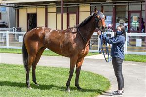 Malicorne Kilmore 5 Sep 2020 Malicorne Kilmore 5 Sep 2020